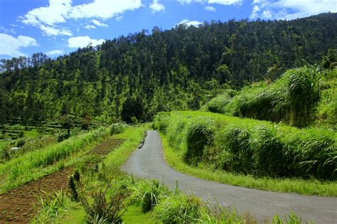 Lukisan Pemandangan Alam Air Terjun - Koleksi Gambar HD