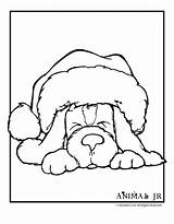 Cute Animal Christmas Coloring Pages Download And Print For Free sketch template