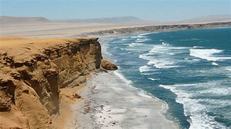 Paracas National Reserve | Blog Machu Travel Peru