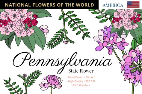 Pennsylvania State Flower Graphic by Hanatist Studio · Creative Fabrica