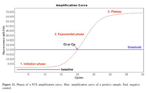 Real-Time PCR Quantification Analysis