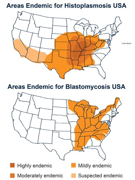 Blastomycosis Wisconsin 2024 - Janel Linette