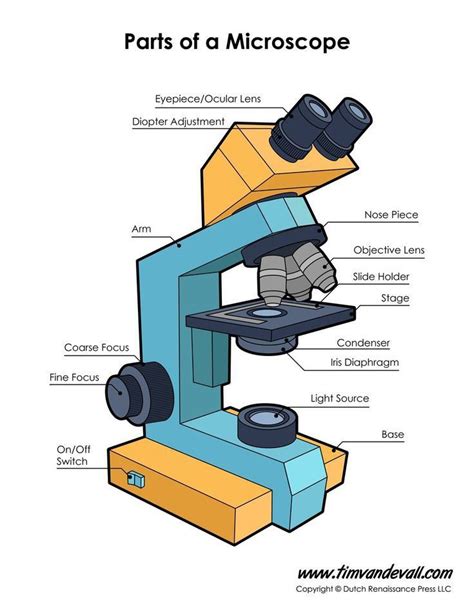 Parts of Microsoft | Science printables, Microscope parts, Biology lessons