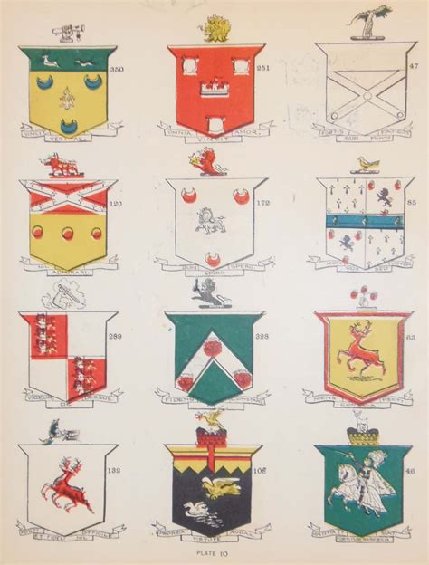 Irish Family Coat of Arms 1902 Plate 10 | Antico Gallery