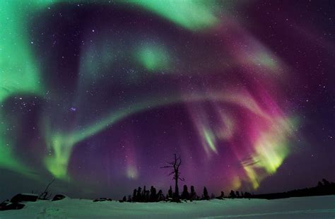 Bright colors of Auroras - 03 | Smithsonian Photo Contest | Smithsonian Magazine