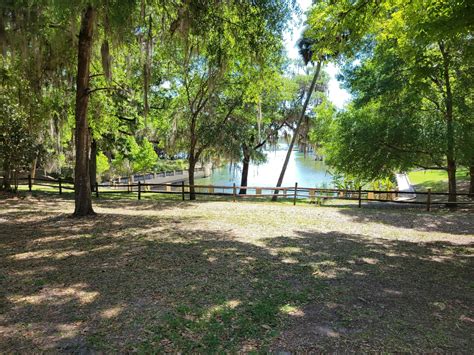 The Best Ocala National Forest Camping Spots in Central Florida