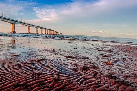 Your P.E.I.: Confederation Bridge turns 20 | CBC News