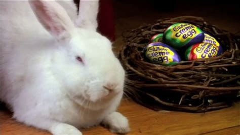 Cadbury TV Commercial, 'Bunny Auditions' - iSpot.tv