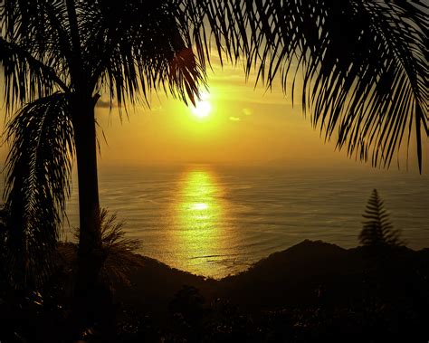 Free photo: Tropical sunset - Beach, Summer, Recreation - Free Download - Jooinn