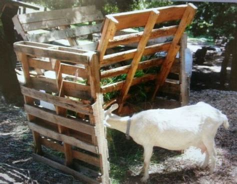 Image result for wooden pallet Horse Feeders Hay | Hay feeder, Pallet, Goat hay feeder