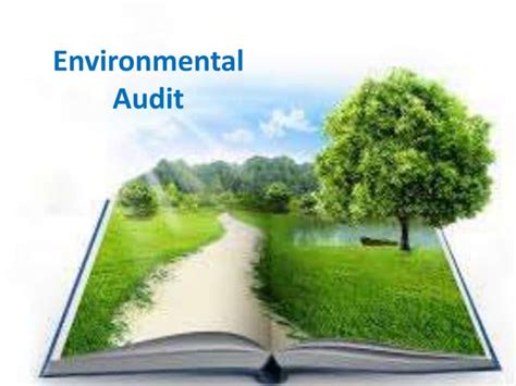 Environmental audit