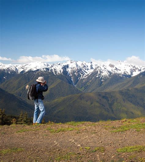 The best hiking trails you don't know in Olympic National Park. | National parks, Olympic ...