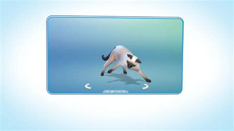 The Sims 4 Cats & Dogs: 34 Gameplay Screenshots From Gamescom | SimsVIP