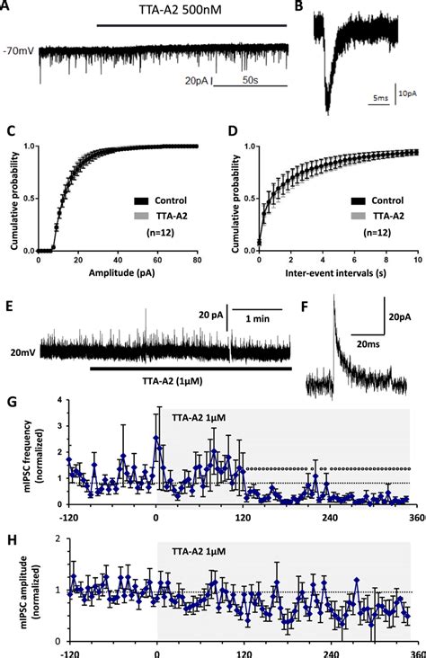 Effects of T-type calcium channel inhibitors on neurotransmission of... | Download Scientific ...