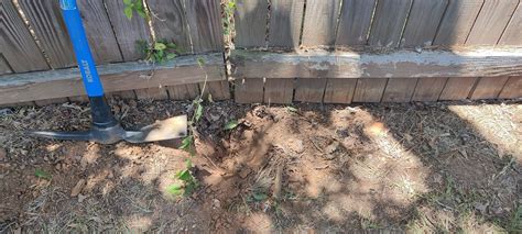 Went to dig a fence post hole and it's impossible | DIY Home ...