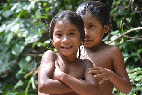 Giving the Amazon rainforest back to the Awa tribe | Amazon rainforest, Awa, Amazon forest