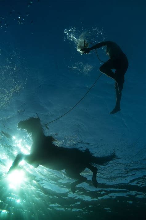 summer swim | Beautiful horses, Horses, Horse water