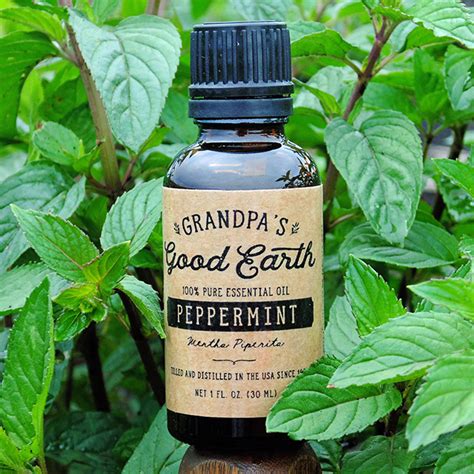 Peppermint Essential Oil - 1 oz | Grandpa's Good Earth