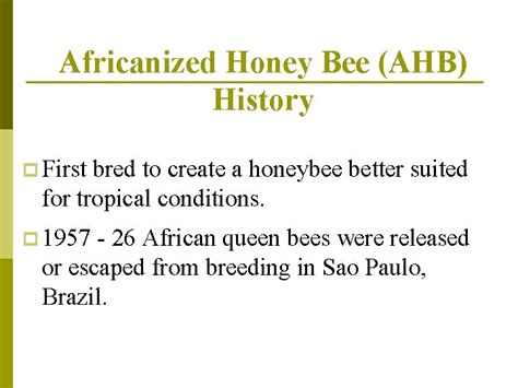 Controlling Africanized Honey Bees Philip G Koehler Dept