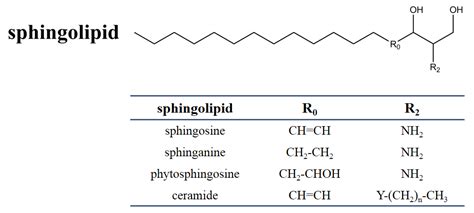 JoF | Free Full-Text | Sphinganine-Analog Mycotoxins (SAMs): Chemical Structures, Bioactivities ...