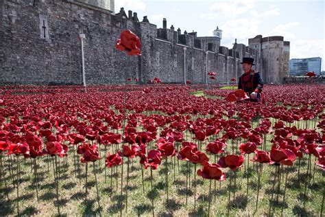 Tower of London's Evolving Poppy Art Installation - ABC News