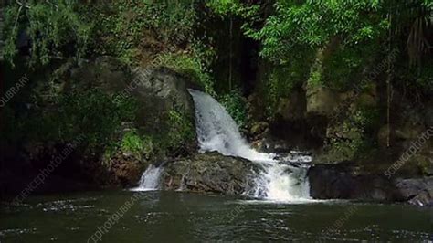 Umauma Falls, Hawaii - Stock Video Clip - K002/4807 - Science Photo Library