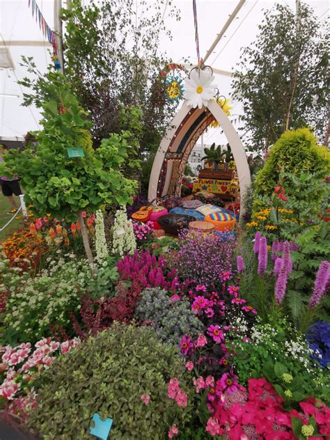 Taunton Flower Show 2023