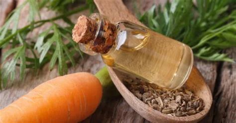 Carrot Seed Oil Benefits for Skin