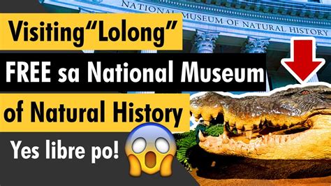 Lolong Crocodile In Museum Of Natural History