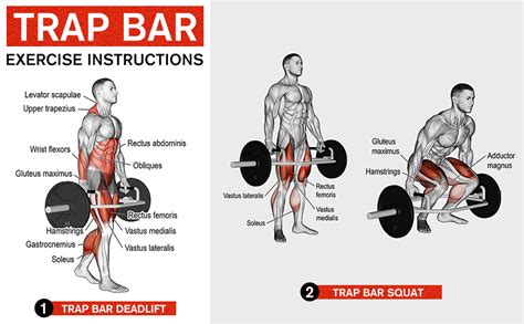 Hex Bar Deadlift (A guide for bodybuilders)