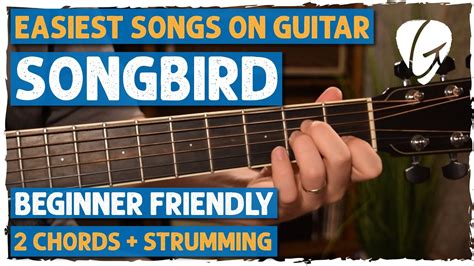 2 CHORD SONG! "Songbird" BEGINNER Guitar Tutorial | Oasis - YouTube