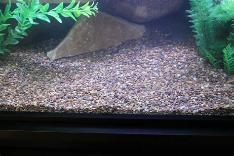 Flint Aquarium Gravel - Custom Aquariums