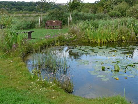 Rodley nature reserve, Leeds