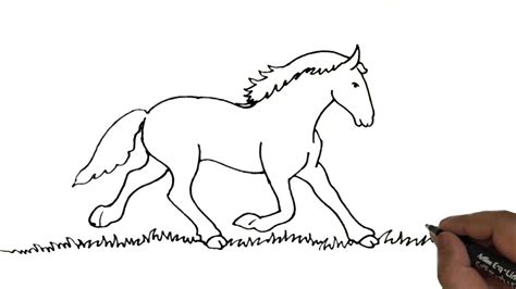 Running Horses Drawings Easy