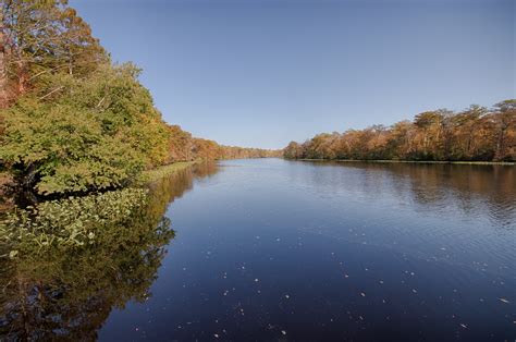 Pocomoke River State Park: Shad Landing or Milburn Landing? | Shorebread