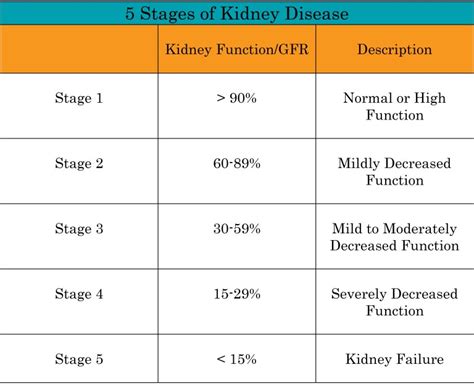 Understanding Kidney Disease – NephCure Kidney International ® | End stage renal disease, Renal ...