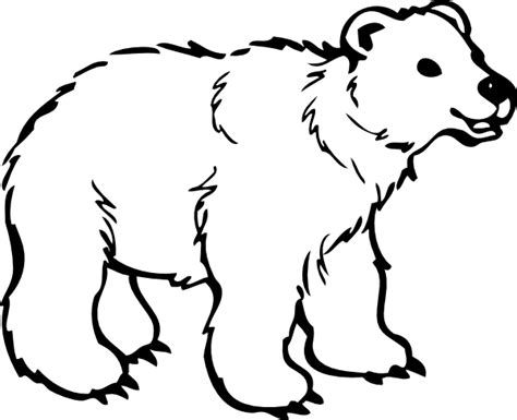 Polar bear clip art black and white free clipart – Clipartix