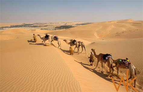 Liwa Overnight Desert Safari 2024 - Eco Friendly Liwa Tours