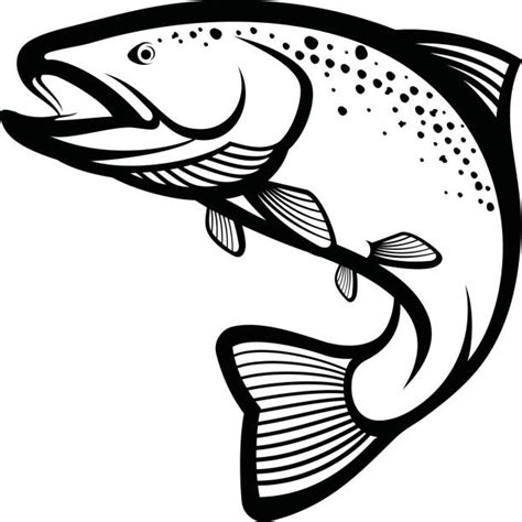 free trout clipart 10 free Cliparts | Download images on Clipground 2024