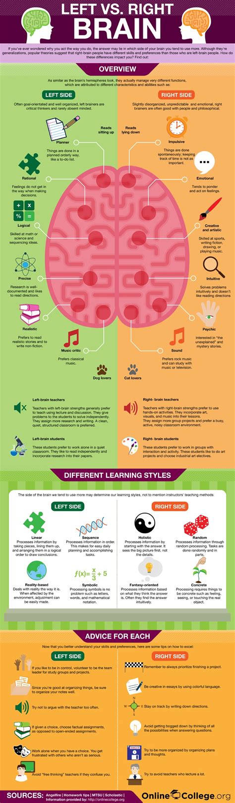 Left vs Right Brain Infographic - e-Learning Infographics