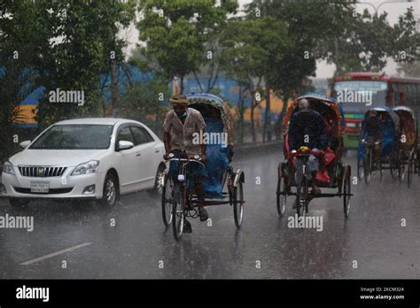 Rickshaw pullers make their way during rainfall in Dhaka, Bangladesh on September 7, 2021 ...