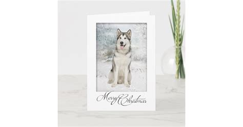 Husky Christmas Cards | Zazzle