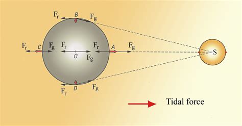 11.1 Tidal Forces – Introduction to Oceanography