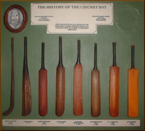 Cricket Bat | Cricket Bats Types| Different Brands Of Bats