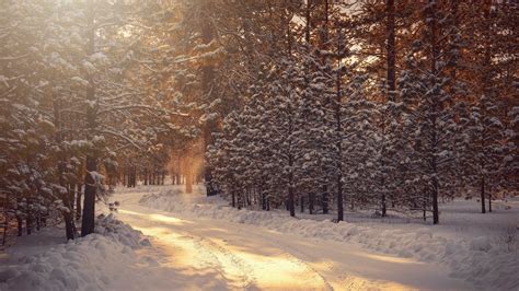 Winter Solstice 2022: Shortest Day and Longest Night of the Year in Northern Hemisphere | How-to