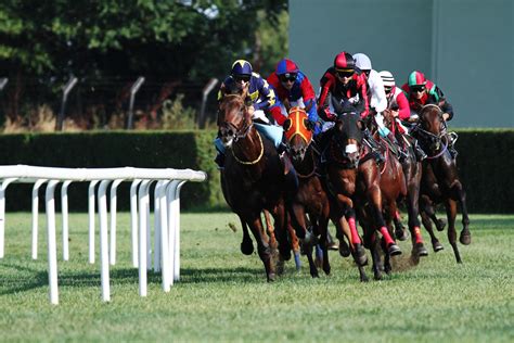 Download Horse Racing Sports HD Wallpaper