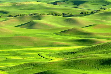 Palouse Rolling Hills Photograph by Justinreznick - Pixels