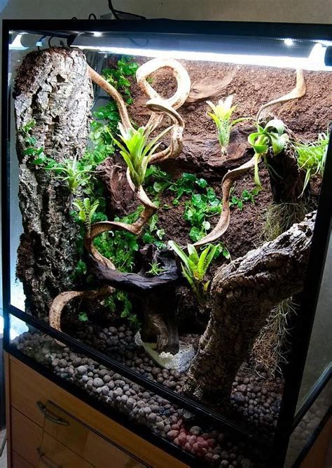 vivs,tanks,terrariums - Geckos Unlimited #beardeddragontanks | Snake terrarium, Gecko vivarium ...