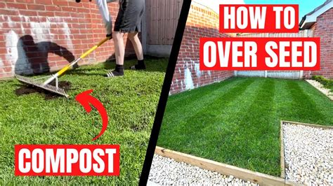 How to OVER SEED your LAWN - SIMPLE and CHEAP way to THICKEN your LAWN ...