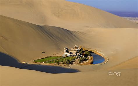 Brown sand, nature, dune, Bing, oasis HD wallpaper | Wallpaper Flare